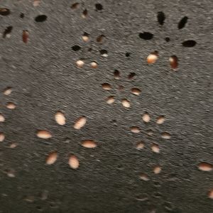 Flower lace stretchy short nap. Material